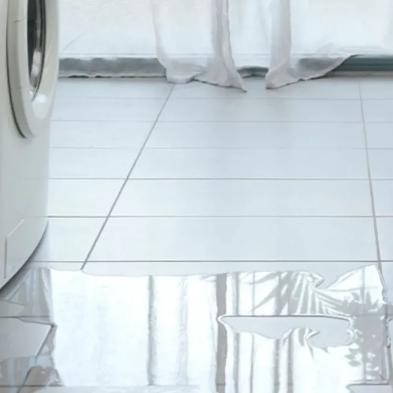 Appliance Leak Cleanup in New Bern, NC