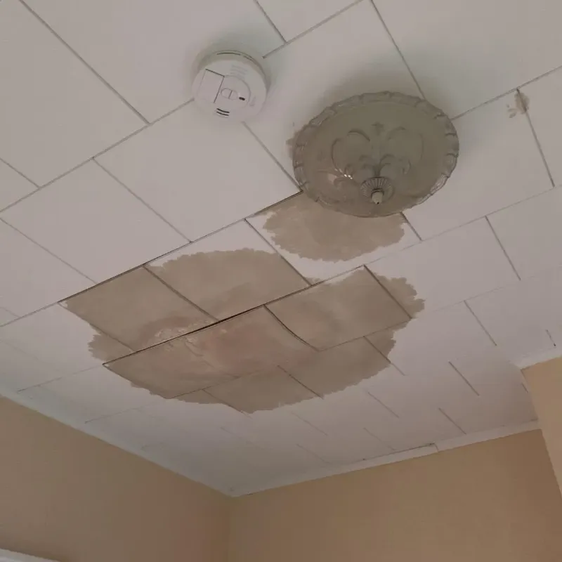 Ceiling Water Damage Repair in New Bern, NC