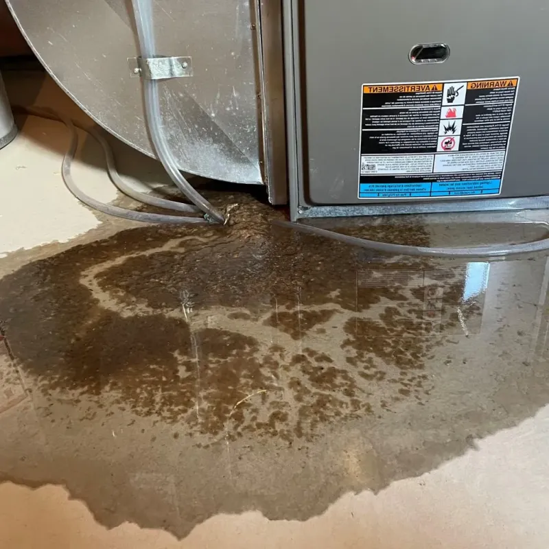 Pipe Burst and Leak Restoration in New Bern, NC
