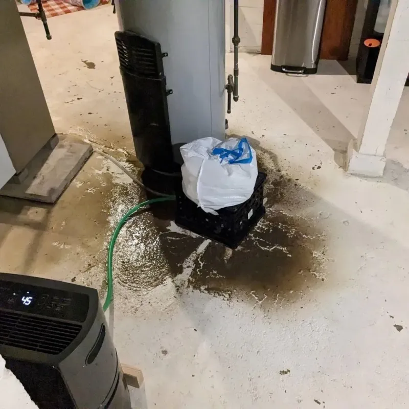 Sewage Backup Cleanup Service in New Bern, NC